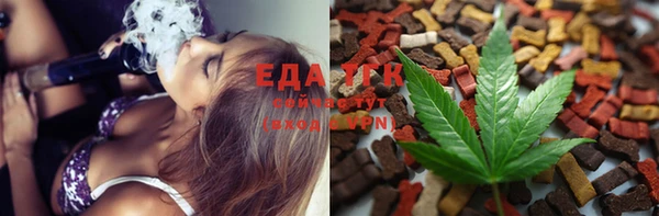 индика Иннополис