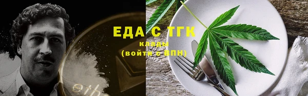 индика Иннополис