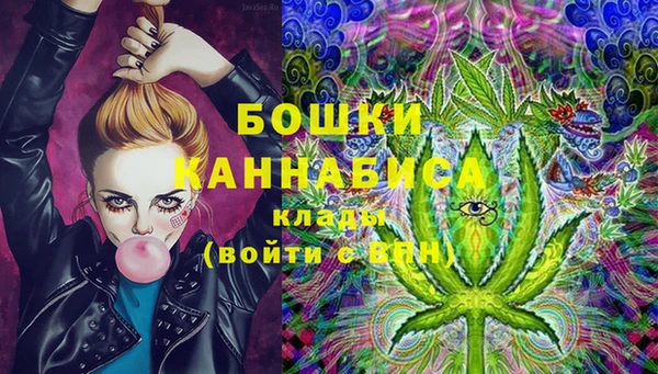 индика Иннополис
