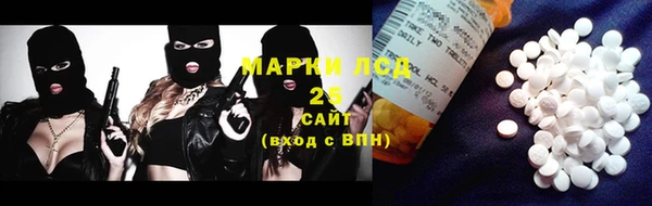индика Иннополис