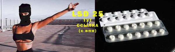 индика Иннополис
