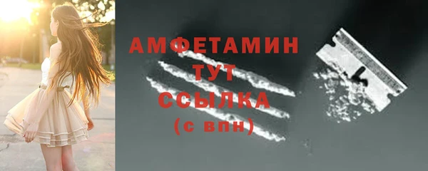 индика Иннополис