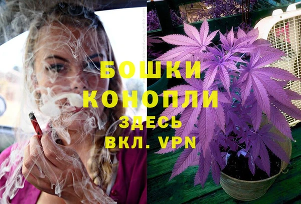 соль ск Инта