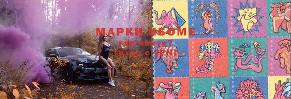 индика Иннополис