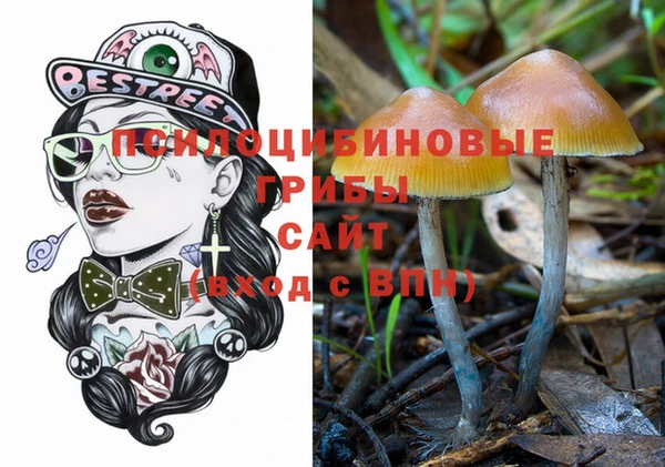 индика Иннополис