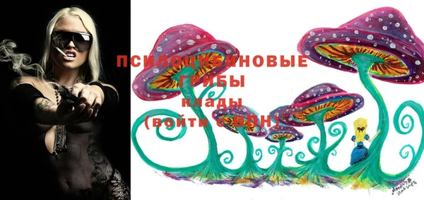 соль ск Инта