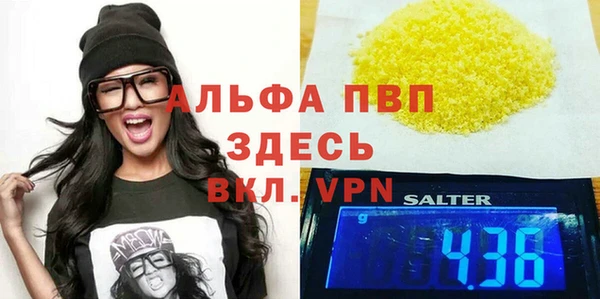 индика Иннополис