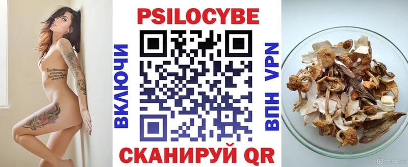 Купить где  Киржач  Галлюциногенные грибы мухоморы 